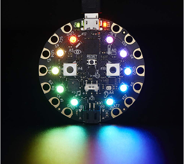 Microbits/Circuit Playground (11yrs+)
